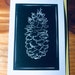 Amanda Clemons