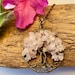 see more listings in the Petite Tree Pendants section