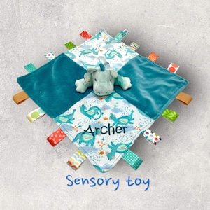 May include: A teal blue and white sensory toy with a dragon design and the name "Archer" embroidered on it. The toy has multiple colorful fabric loops attached to the edges.
