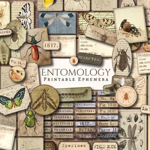Kit stampabile effimero entomologico / digitale / insetto / distressed / diario spazzatura / scrapbook / effimero / vintage / scarabeo / farfalla