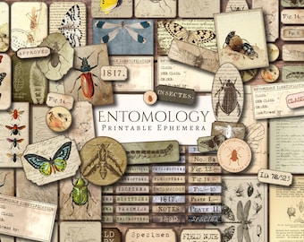 May include: A collection of vintage printable ephemera featuring illustrations of insects, butterflies, and other bugs. The ephemera includes labels, tags, and other decorative elements with text such as "Entomology", "Insects", "Classified", and "Specimen".