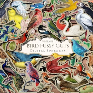 vintage oiseaux numériques éphémères | journal indésirable | album de découpures | Cricut | embellissement | fabrication de cartes | coupe soignée | surmatelas pour carte | collage | oiseau