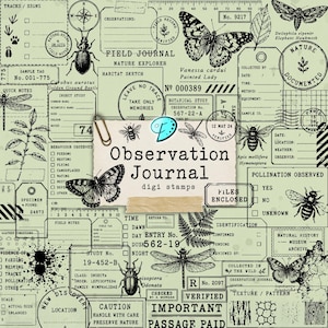 Könnte beinhalten: Ein digitales Collage-Blatt mit hellgrünem Hintergrund und naturkundlichen Illustrationen im Vintage-Stil, darunter Schmetterlinge, Käfer, Libellen und Bienen, sowie verschiedene Feldjournal-Etiketten, Stempel und der Text Observation Journal.