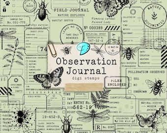 Observation Journal Digi Stamps PNG bundle | digital | overlay | junk journal | scrapbook | ephemera | vintage | field notes | science