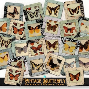 Vintage Butterfly Printable Specimen Cards | florals | antique | vintage | scrapbook | ephemera | printable | shabby chic | Entomology