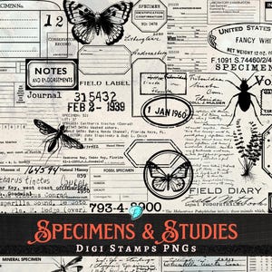 標本と研究 Digi Stamps PNG バンドル | デジタル | オーバーレイ | ジャンクジャーナル | スクラップブック | エフェメラ | ビンテージ | 昆虫 | 植物学 | 科学