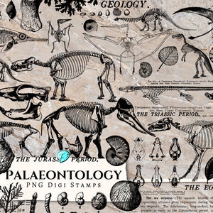 Puede incluir: Ilustraciones en blanco y negro de varias criaturas marinas prehistóricas, dinosaurios y fósiles. Las ilustraciones están dispuestas en un estilo de collage e incluyen etiquetas de texto como "The Sea Life", "The Jurassic Period", "Palaeontology", "The Triassic Period" y "The Eocene Period".