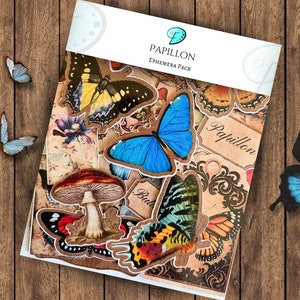 Paquete de efímeras Papillon / diario basura / álbum de recortes / fabricación de tarjetas / adornos para tarjetas / troqueles / adornos / suministros / vintage / mariposa