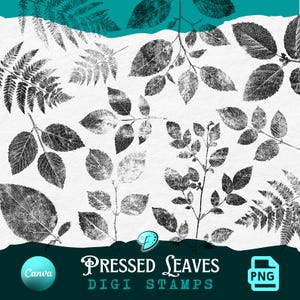 May include: A collection of black and white pressed leaf digital stamps. The image features various leaf and fern designs on a white background. The text "PRESSED LEAVES DIGI STAMPS" is displayed at the bottom, along with a "PNG" icon.