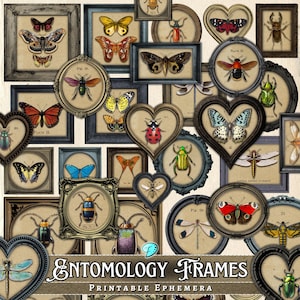 May include: A collection of printable vintage frames featuring various insects, butterflies, and dragonflies. The frames are in different shapes and sizes, including hearts, ovals, and rectangles. The frames are decorated with ornate details and have a distressed look. The text "ENTOMOLOGY FRAMES PRINTABLE EPHEMERA" is at the bottom of the image.