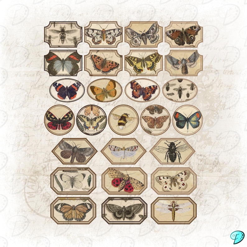 Live Insect Post Label Butterfly and Insect Snippet Labels | Digital | Distressed | Junk ...