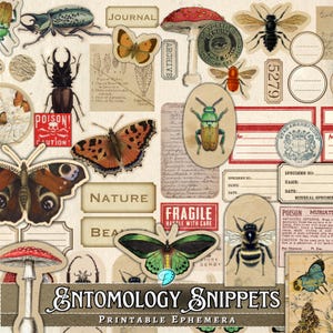 Entomology Snippets Ephemera Printable | digital | insect | distressed | junk journal | scrapbook | ephemera | vintage | beetle | butterfly