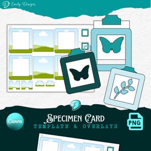 Muster Grußkarte Vorlage | Junk Journal | Sammelalbum | Ephemera | Druckbar | Farbsparer | Kartengestaltung | CANVA Rahmen | Auflage | Insekt