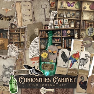 Rariteitenkabinet Junk Journal Kit | afdrukbaar | plakboek | digitaal | Schedel | gotisch | griezelig | spookachtig | Oktober | vintage | Halloween