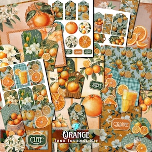Kit de diario basura naranja / álbum de recortes / material efímero digital / creación de tarjetas / vintage / imprimible / fruta / jugo / amarillo / cítricos / flor