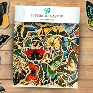 Schmetterlinge & Motten Ephemera Pack | Junk Journal | Sammelalbum | Kartengestaltung | Karte Topper | die schnitte | Verzierungen | Entomologie | Jahrgang