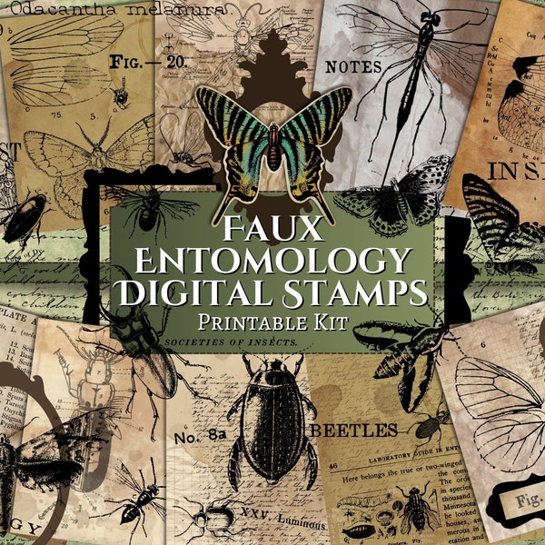 Faux Entomology Digital Stamp Kit | digital | insect | distressed | junk journal | scrapbook | ephemera | vintage | beetle | butterfly