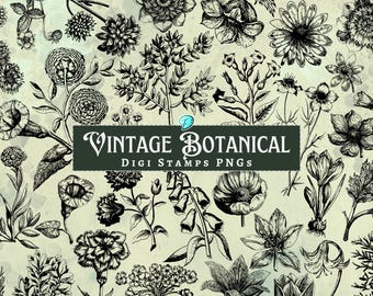 May include: A selection of vintage botanical illustrations in monochrome. The image showcases diverse flowers, leaves, and plant elements, with a banner reading "Vintage Botanical Digi Stamps PNGs."