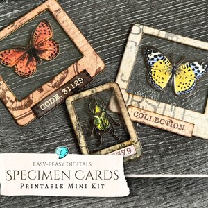 Mini kit imprimable de spécimens de cartes faciles à utiliser | éphémères | millésime | album de découpures | numérique | papillon | shabby chic | insecte | Cricut | PNG