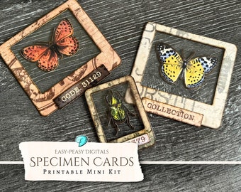 Easy-Peasy Specimen Cards Printable Mini Kit | ephemera | vintage | scrapbook | digital | butterfly | shabby chic | insect | Cricut | PNG