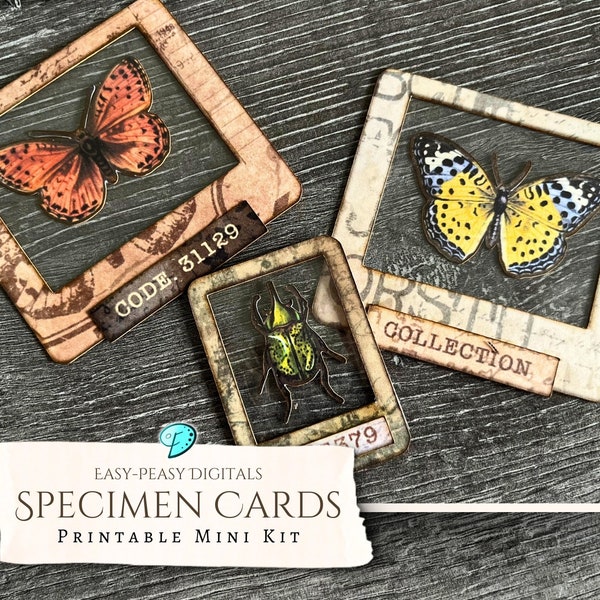 Easy-Peasy Specimen Cards Printable Mini Kit | ephemera | vintage | scrapbook | digital | butterfly | shabby chic | insect | Cricut | PNG