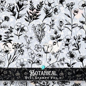 Botanische Digi Stamps Vol 2. | digital | Auflage | beunruhigt | Junk Journal | Sammelalbum | Ephemera | Jahrgang | Druckfarbe | Druck | Blüte geblümt