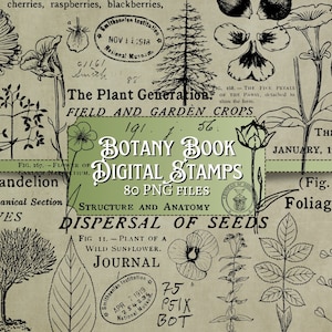 Timbres digi pour livre de botanique | numérique | superposition | en détresse | journal indésirable | album de découpures | éphémères | millésime | encre | impression | fleur | plante