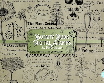Botany Book digi Stamps | digital | overlay | distressed | junk journal | scrapbook | ephemera | vintage | ink | print | flower | plant
