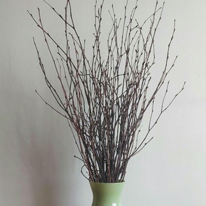 Decorative Birch Branches, bunch of natural birch, rustic farmhouse-style decor - Perfect for filing a table vase