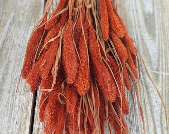 May include: A bundle of dried, orange-red ornamental grass, likely used for home decor. The grass has a textured, fuzzy appearance with long, thin strands. The background is a weathered, light-colored wooden surface.