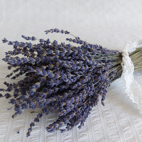 Dried English Lavender Bunch - 3 oz Bouquet (150-200 stems) - Fragrant Dried English Lavender - DIY Wedding Flowers for bouquets