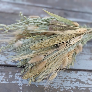 Mixed Grains Bouquet, Soft Green and Natural Grains Mixed Farmhouse Style Bouquet