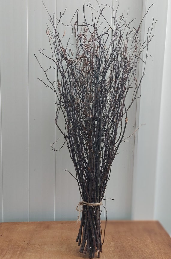 25 Tall Birch Branches, Beautiful Bunch of Natural Birch, Interior Design  Accents, Rustic Wedding 25 Branches 3'4' Ft. Lengths 