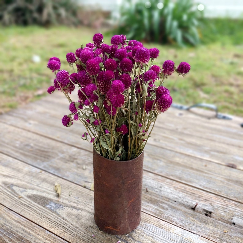 Purple Globe Amaranth Dried Flower Bunch 4 oz Bunch of Everlasting Magenta Purple Gomphrena For DIY Floral and Nature Crafts image 3