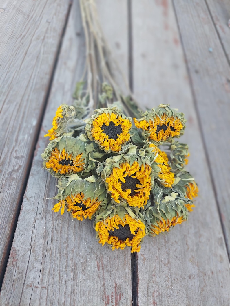 May include: A bouquet of dried sunflowers with yellow petals and dark centers. The flowers are clustered together, with some of the green leaves still attached. The background is a weathered wooden surface.