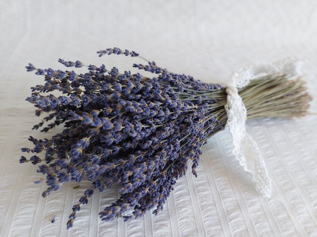 Dried English Lavender Bunch 3 Oz Bouquet 200225 Stems Fragrant Dried