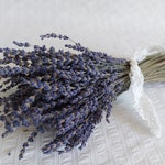 Lavender Home Decor