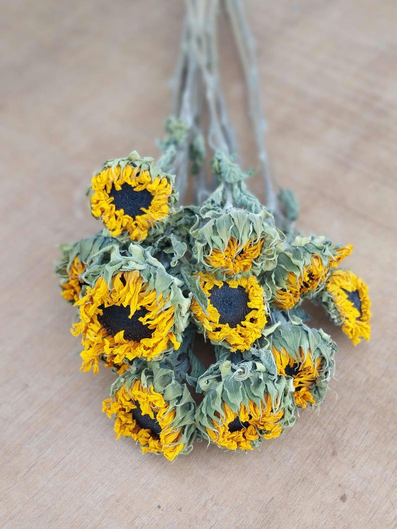 May include: A bundle of dried sunflowers with yellow petals and dark centers. The flowers have green and gray stems and leaves. The arrangement is set against a light brown wooden surface.