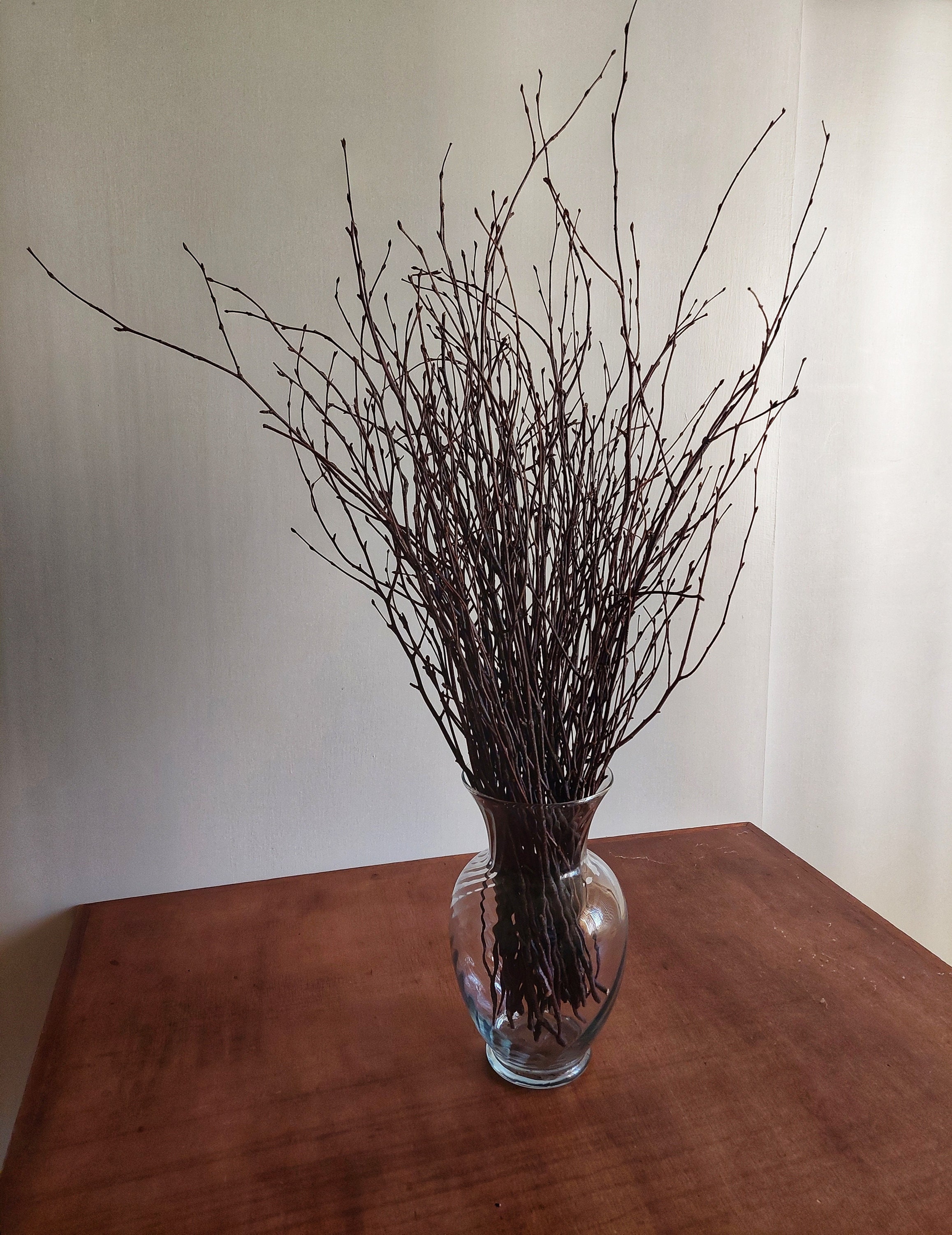 50 pcs Birch Branches for Vases, Decoration for Sale. Natural Birch Twigs  for centerpieces. Floral Stick.