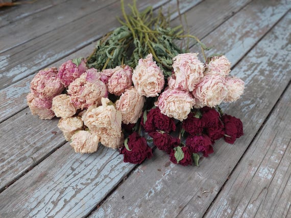 Dried Peony Bunch: Pink, Antique, and Burgundy DIY Floral Supplies