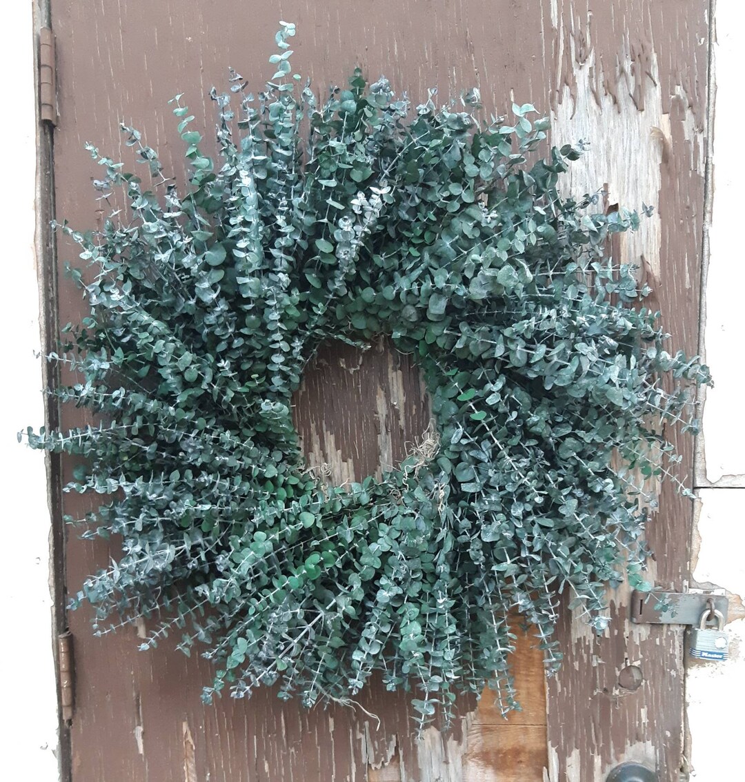 Preserved Eucalyptus Wreath Farmhouse Style Home Decor Etsy