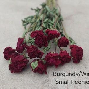 May include: A bouquet of dried burgundy and wine colored small peonies with green stems and leaves. The text "Burgundy/Wine Small Peonies" is printed in the bottom right corner of the image, identifying the floral variety and color.