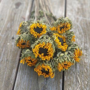 May include: A bundle of dried sunflowers with yellow petals and dark brown centers. The flowers are clustered together, with green and brown stems. The background is a weathered wooden surface.