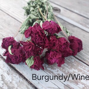 May include: A bouquet of dried burgundy and wine-colored flowers with ruffled petals and green stems. The text "Burgundy/Wine" is printed in black at the bottom right corner of the image, identifying the color of the floral arrangement.