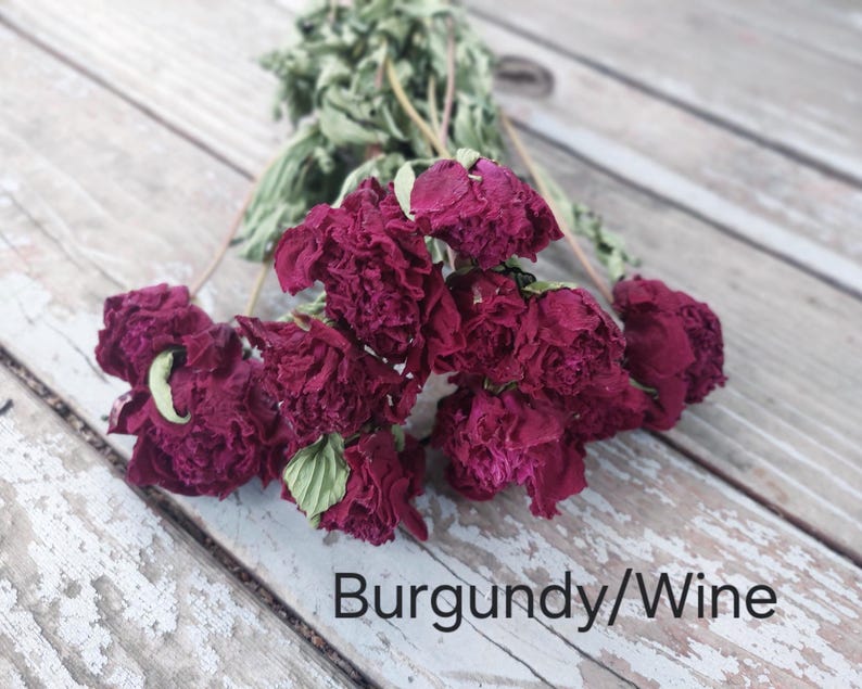 May include: A bouquet of dried burgundy and wine-colored flowers with ruffled petals and green stems. The text "Burgundy/Wine" is printed in black at the bottom right corner of the image, identifying the color of the floral arrangement.