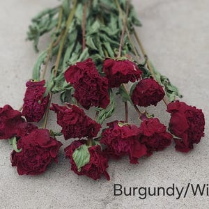 May include: A bouquet of dried flowers with deep burgundy and wine-colored petals and long, thin, dried green stems. The text "Burgundy/Wine" is printed in the bottom right corner of the image, identifying the color of the floral arrangement.