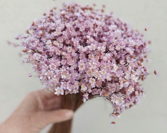 Dried Lavender Star Flowers: - Small Daisies for Weddings and Home Decor