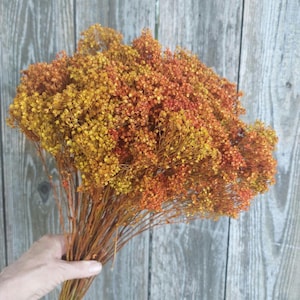 May include: A large bouquet of dried baby's breath flowers featuring a vibrant gradient of colors ranging from deep golden yellow to burnt orange and rust red, with thin, woody stems gathered together in a dense, textured, and bushy arrangement.
