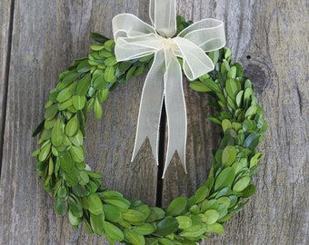 Preserved Boxwood Wreath Small, Mini Wreath, 8" Boxwood Wreath With Ribbon