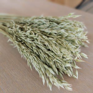 Flocons d'avoine Avena séchés : grain vert tendre, décor de ferme
